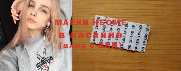 шишки Горнозаводск