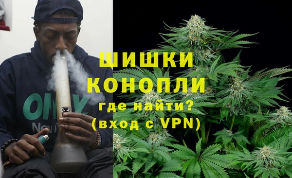 шишки Горно-Алтайск