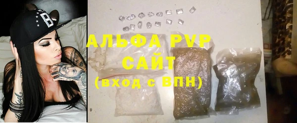 шишки Горно-Алтайск