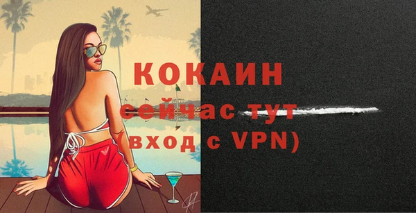 шишки Горно-Алтайск