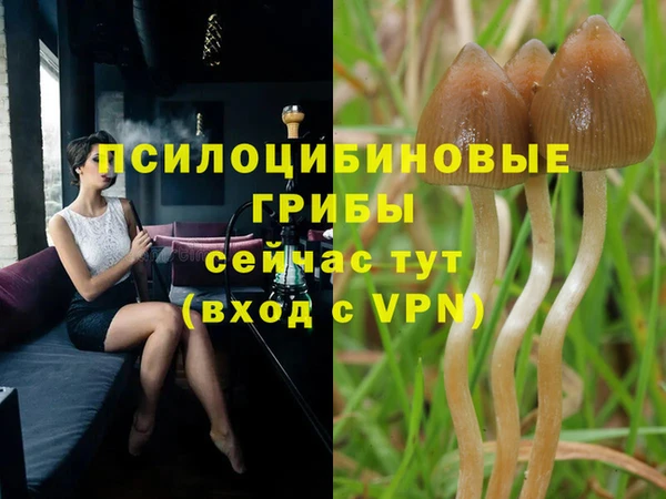 шишки Горнозаводск