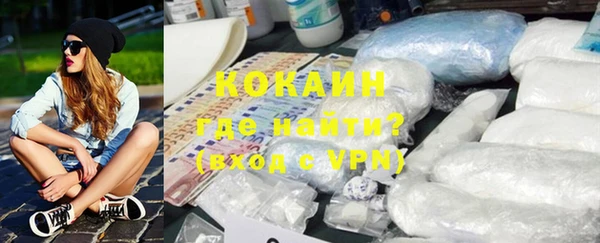 шишки Горнозаводск