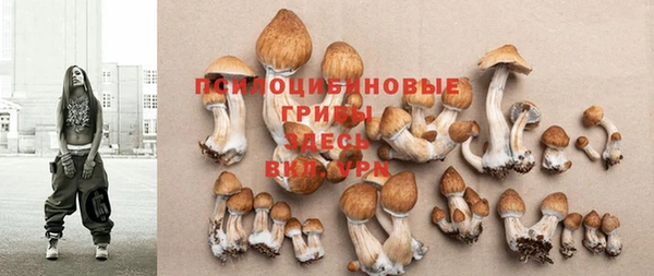 не бодяженный Горняк